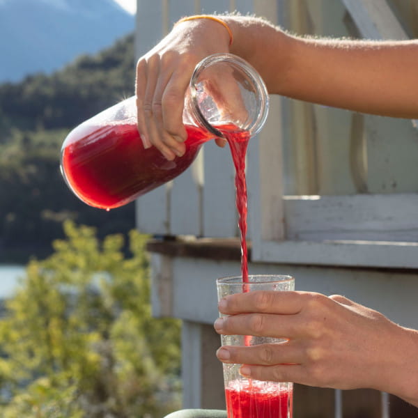 Moonvalley Organic Sports Drink - Bio-Getränkepulver Lingonberry (12 x 45 g)