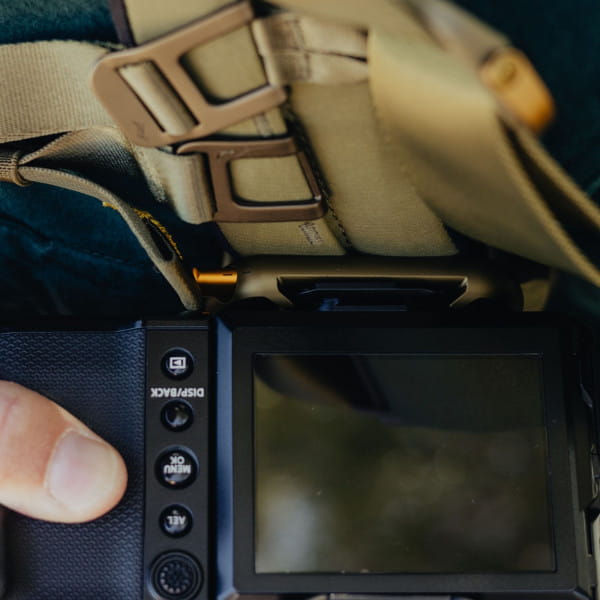 Peak Design Capture Clip v3 inkl. Standard Plate - Kelp